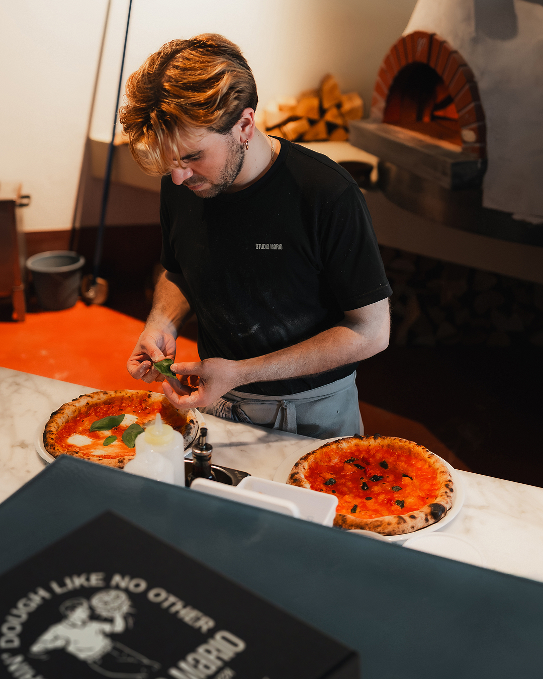 BIRRD CASE BAKKER KLAAS STUDIO MARIO 18 8