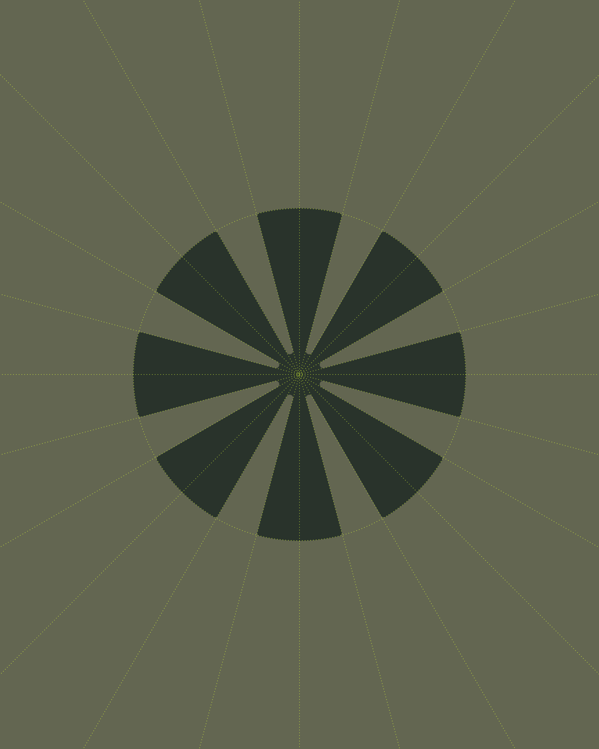 BIRRD 1080x1350 BRANDING TRUE CALLING 5