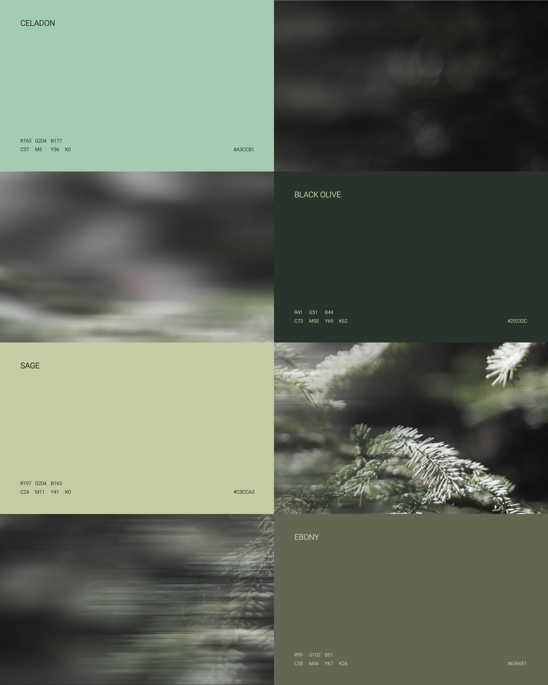 BIRRD 1080x1350 BRANDING TRUE CALLING 3